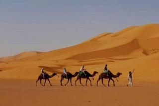 Erg Chgaga Desert Camp - 1