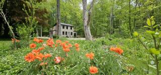 Enchanting Cottage Haven near Long Island Sound in Connecticut - 6