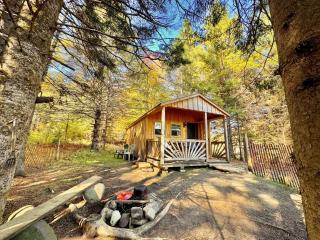 Scenic Off-Grid Cabin with Spring-Fed Pond near Lake Willoughby, Barton, Vermont - 0