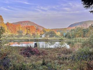 Scenic Off-Grid Cabin with Spring-Fed Pond near Lake Willoughby, Barton, Vermont - 8