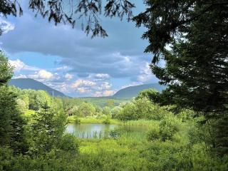 Scenic Off-Grid Cabin with Spring-Fed Pond near Lake Willoughby, Barton, Vermont - 1