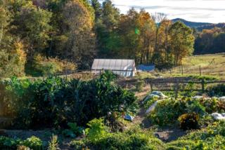 Bright and Airy Tented Cabin Rental on a Working Farm near Manchester, Vermont - 7