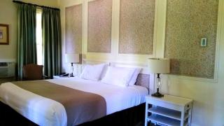 Delightful Suite Rentals for a Weekend Getaway near Mohawk State Forest, Connecticut - 4
