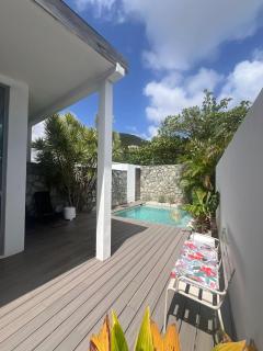 Stylish villa with private pool in Koolbaai - 7