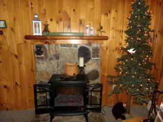 Lovely and Cozy Cabin in the Adirondack Mountains of Northville, New York - 2