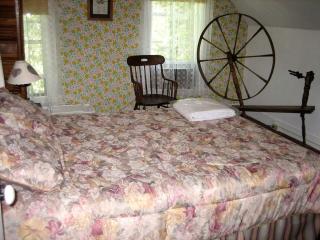 Cozy Cottage Rental Located Lakeside in the Peaceful Forest of Millinocket, Maine - 4
