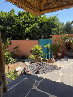 ORYan OASIS - 1