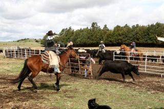 Rustic Four-Person Suite on a Dude Ranch in Central Nebraska - 1