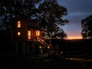 Unique Treehouse Accommodation for a Secluded Granite Lake Getaway - 8