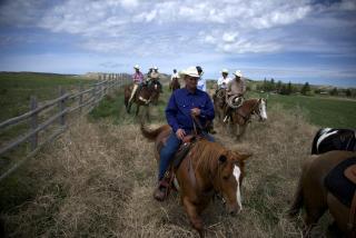 Western-Style Room on a Luxury Dude Ranch in New Raymer, Colorado - 4