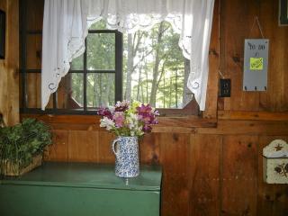 Rustic Lakefront Cabin Rental with Dock on Bauneg Beg Lake near Portland, Maine - 1