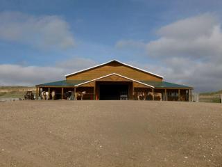 All-Inclusive Cabin Suites on Award-Winning Dude Ranch in Northern Colorado - 4