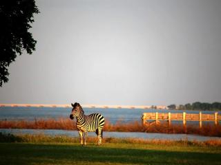 Beautiful Weekend Getaway on 500-Acre Ranch near Dallas, Texas - 9