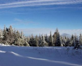 Comfortable Family Rental with Mount Hood Views in Northern Oregon - 2