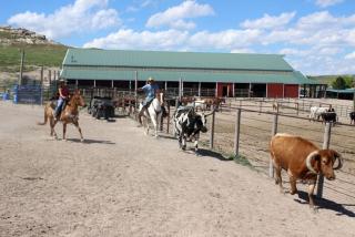 Ranch Getaway near the Pawnee National Grasslands in Colorado - 0