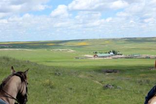 Ranch Getaway near the Pawnee National Grasslands in Colorado - 8