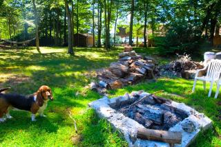 Five Cabins for a Group Getaway on an Island near Salmon River State Forest, Connecticut - 5