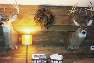 Inexpensive Weekend Getaway near Lovewell State Park in Formoso, Kansas - 5