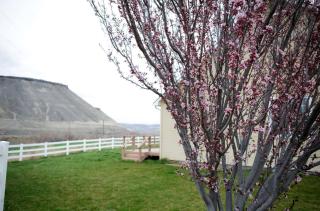 Private and Spacious Bed and Breakfast Perfect for Reunions or Events in Idaho - 2