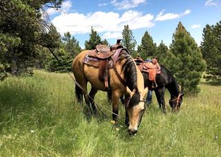 Western-Style Bell Tents for an All-Inclusive Camping Experience in Utica, Montana - 5