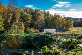 Peaceful Cabin Rental for a Weekend Getaway in Wells, Vermont - 2