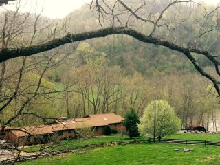 Riverside Cabin with a Hot Tub by Creeper Trailhead in Virginia - 5