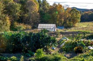 Charming Tented Cabin Rental for a City Escape in Wells, Vermont - 1