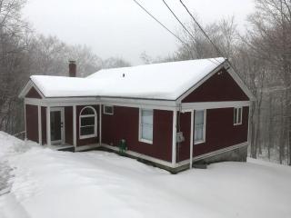 Secluded Family-Friendly Cabin with a Pool Table in Wilmington, Vermont - 3