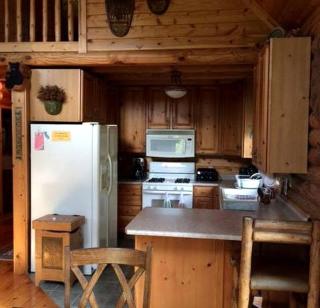 Riverside Log Cabin Perfect for a Secluded Getaway near Kalamazoo, Michigan - 8