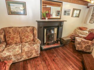 Penfeidr Newydd - 1