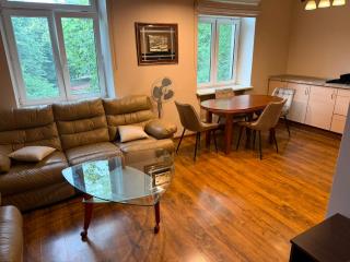 Cozy Apartment in Klaipėda City Centre - Klaipėda - 7