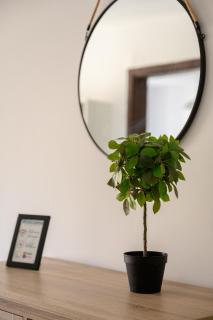 F3 Modern and Bright Apartment in Malta - 4