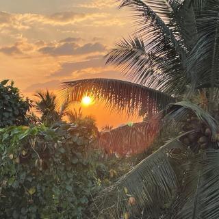 The Palms view - 7