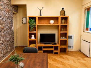 Comfortable apartment in Recoleta - 7