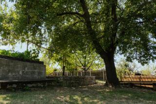 Apartma Severada - 4