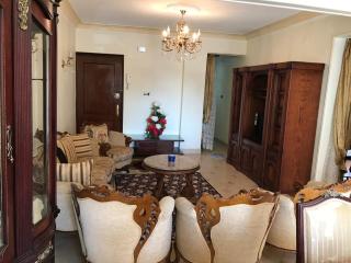 New Maadi Apartment - Le Caire - 8
