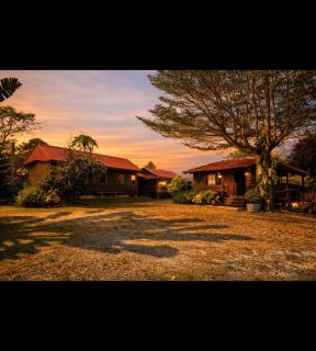 parilorhouse - 3