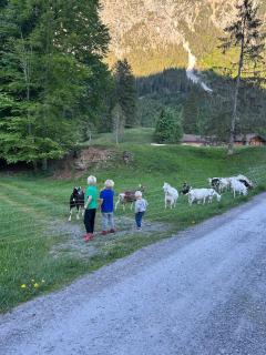 Perfect apartment for climbers and nature-loving couples in Oberstdorf - 8