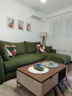 Apartman Zejak - Srebrno jezero - 3