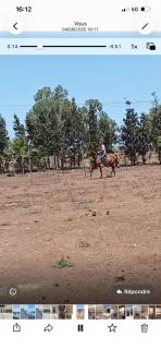 ferme avec chevaux près de la mer - 8