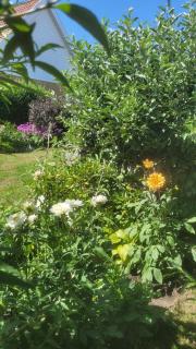 Havehytten ved Noret - 6