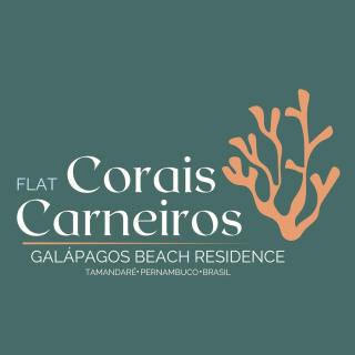 Corais Carneiros, 3 suites e piscina privativa - 1