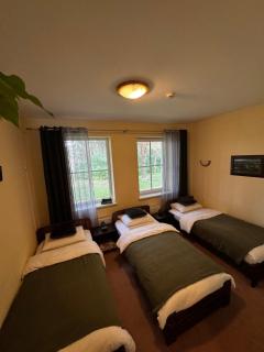 Auksinė giria - 3