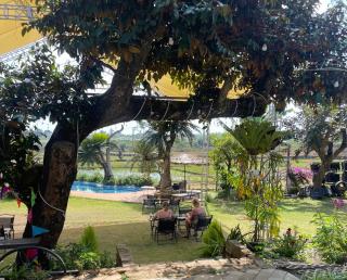 Upes Garden Homestay Bien Ho - 9