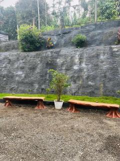 Aldan Wayanad Stay 8 Guest Family Villa - 5