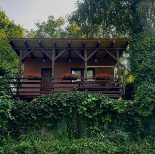 Madárles Apartman - 1