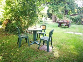 Il bosco di Ettore - 2