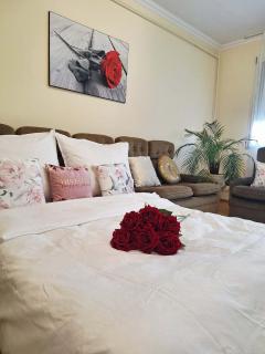 Albina apartman - 4