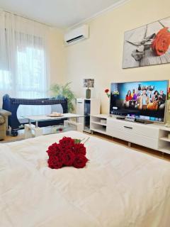 Albina apartman - 3