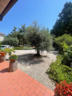 La Corte delle Marche - 0